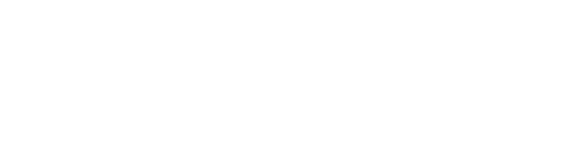 Q Risk Analytics